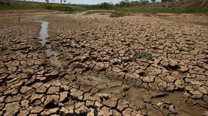 tamilnadu:palaniswamigovernmentreleasesrs2247croredroughtpackageforfarmers